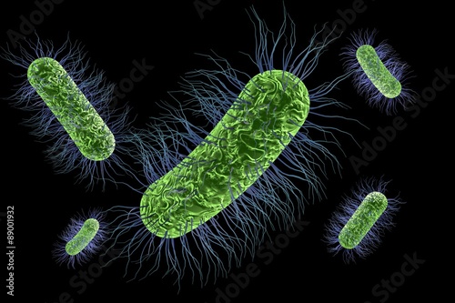 escherichia-coli-v-sperme escherichia-coli-v-sperme