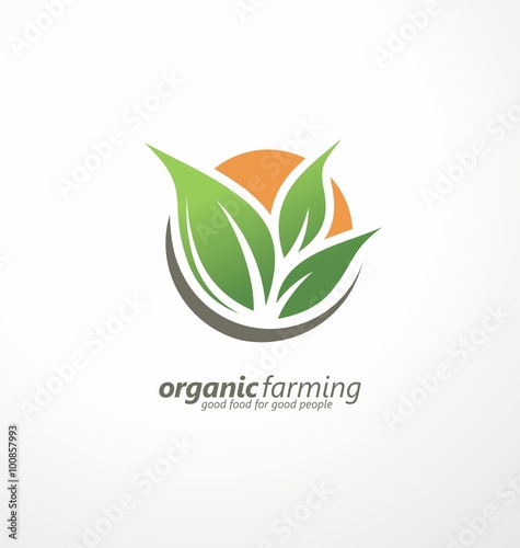 Organic vegetable farm business plan template