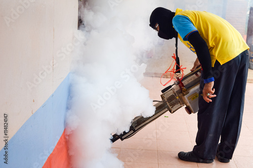 prevent spread dengue fever essay prevent spread dengue fever essay