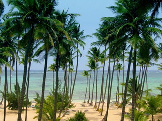 plage de punta cana