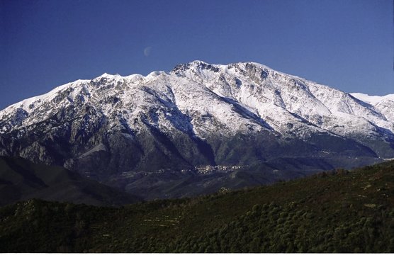 monte d'oro