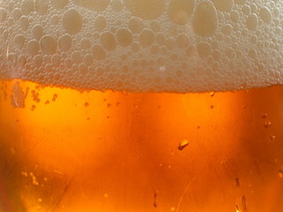 bière fraiche