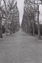 jardin des plantes, paris