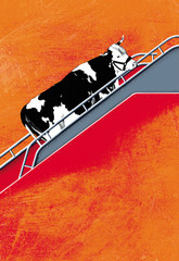 Fototapety na wymiar - Fototapeta24.pl