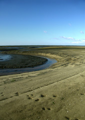 bassin d'arcachon