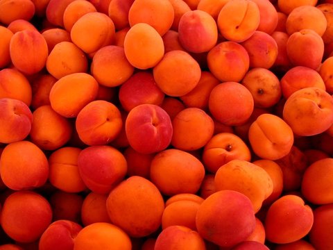 abricots
