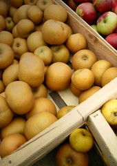pommes