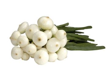 oignons blancs