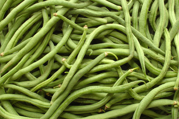 haricot vert
