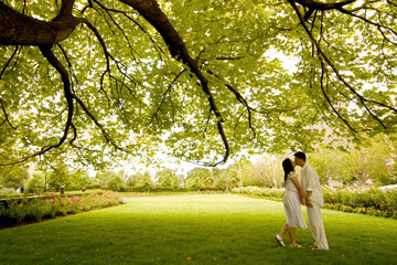 a kiss under the tree