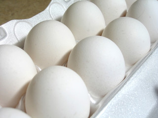 eggs