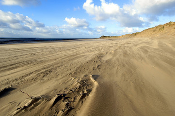 Fototapeta na wymiar plaża na wietrze