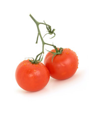 twin tomatoes