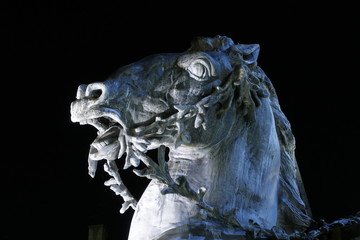 cheval © mat
