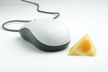 mouse & cheese