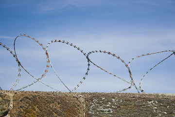 barbed wire