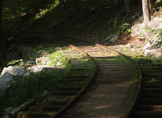 logging rail