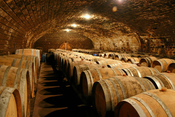 cave à vin