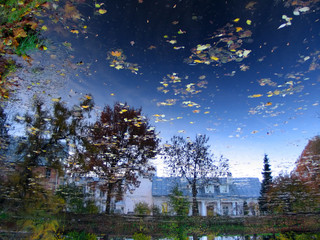 reflection of sky in pond in botanic garden, tartu, estonia