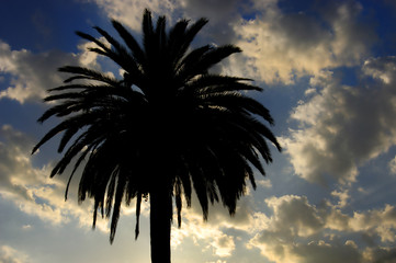 sunset, palm springs ca