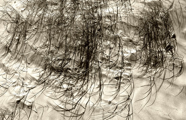 sand dunes 2