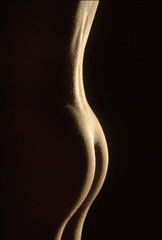 Naklejka premium courbes