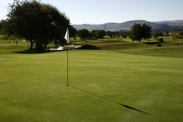 Obraz premium golf green