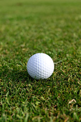 balle de golf sur avant green