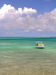 Fototapeta premium lonely lagoon