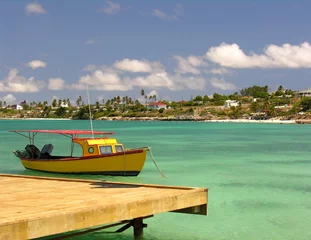 Photo sur Plexiglas Caraïbes passerelle des caraïbes