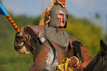 les yeux du chevalier