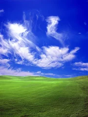 Foto op Plexiglas Donkerblauw groen veld