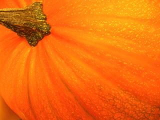 Orange pumpkin - 73516