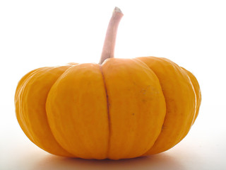 mini pumpkin backlit