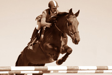 cheval jumping