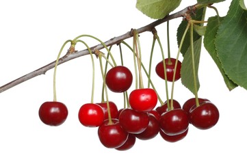 cherries