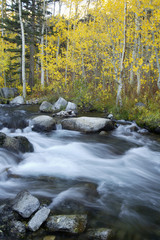 mountain stream, fall colors