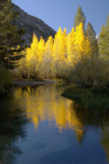 Fototapeta na wymiar górski potok, kolory jesieni