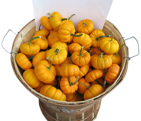 isolated wooden basket of miniature pumpkins