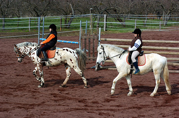 équitation 3