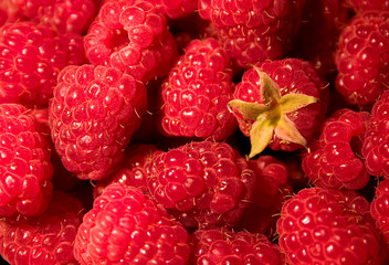 raspberry