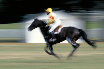 foulée de galop
