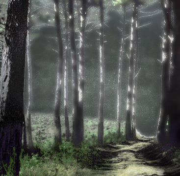 lisi&egrave;re des bois
