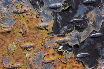 rust and paint 01