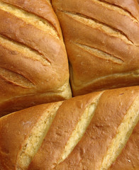 fresh baked bread