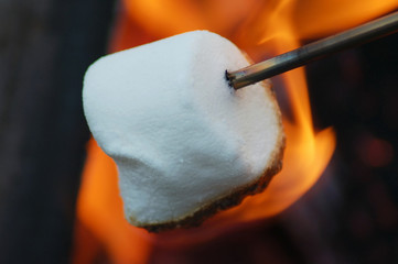 roasting marshmallow