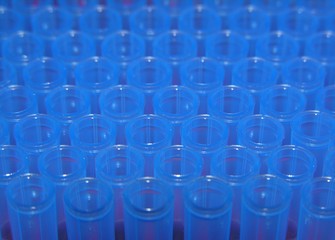blue pipette tips