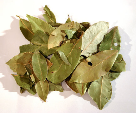 bay leafs 2