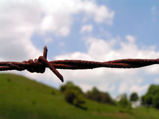barbed wire against field