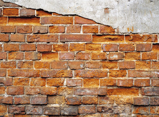 wall